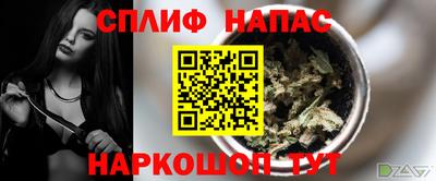 шишки Гусь-Хрустальный