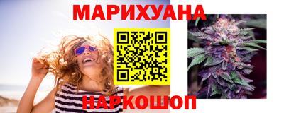 сатива Гусев