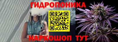 шишки Гусь-Хрустальный
